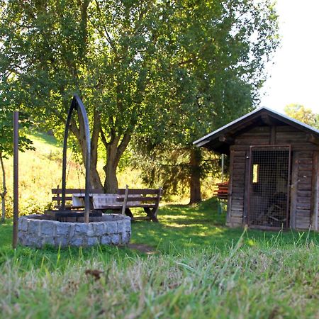 Brauereigasthof Rogg Lenzkirch Esterno foto
